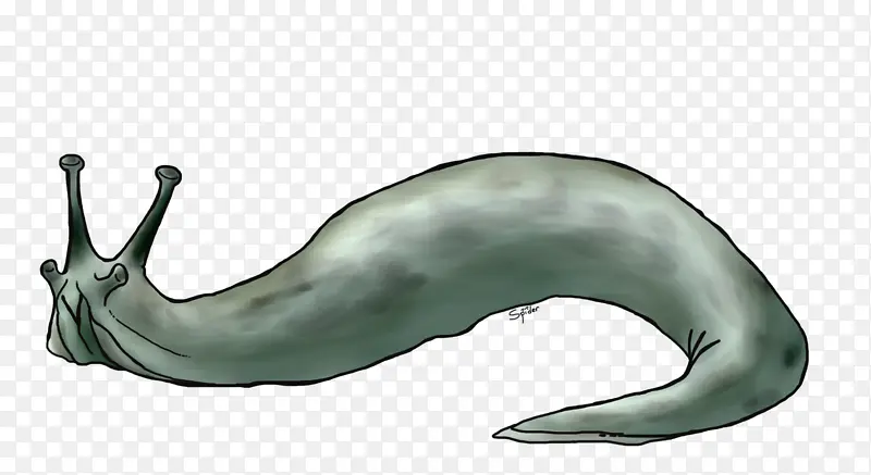 海洋哺乳动物 蓝鲸 动物形象