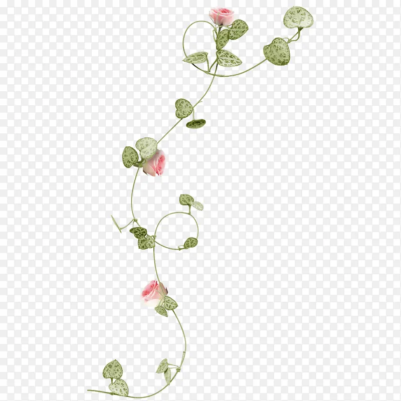 花 植物 花梗PNG图片素材下载_图片编号6943472-PNG素材网