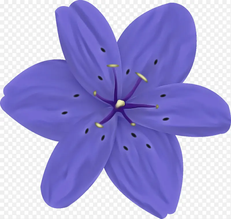 花瓣 紫色 花