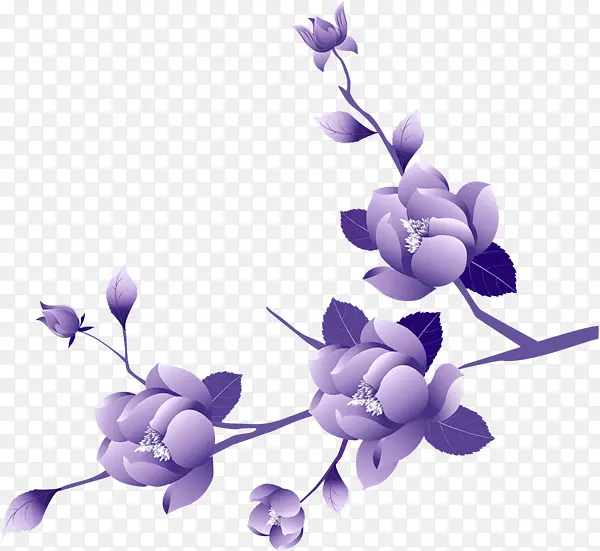 紫罗兰 花 丁香