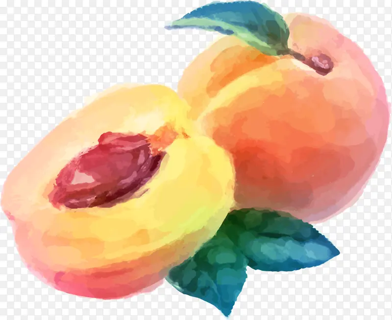 桃子 欧洲李子 水果
