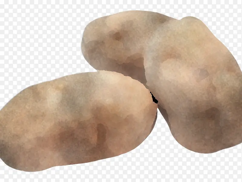 土豆 岩石 根类蔬菜
