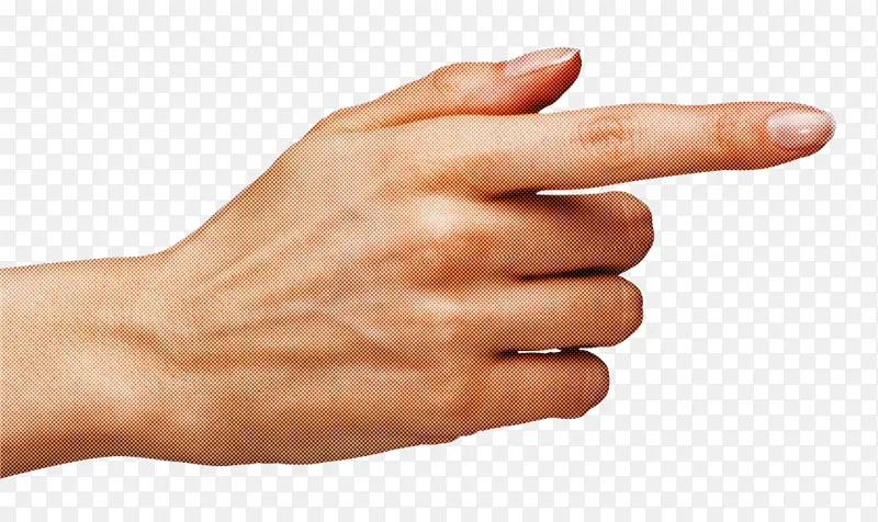 手指 手 皮肤
