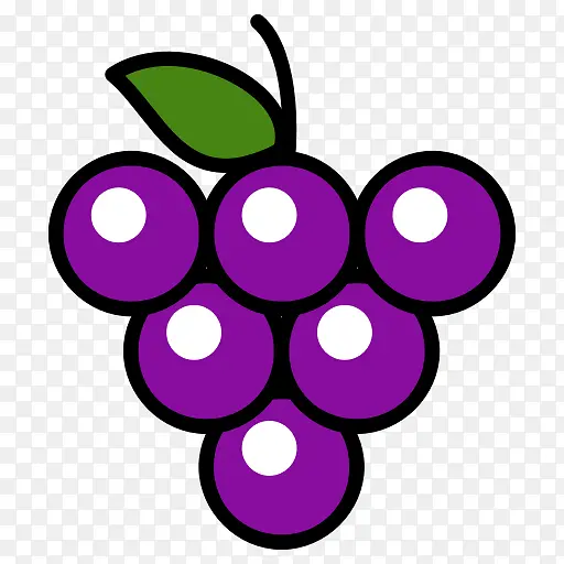 紫色 葡萄 葡萄科