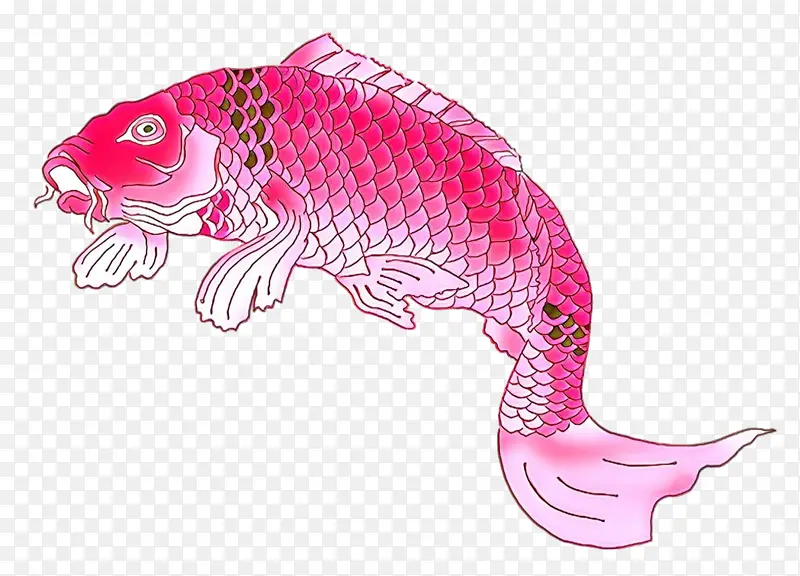 卡通 粉色 鱼