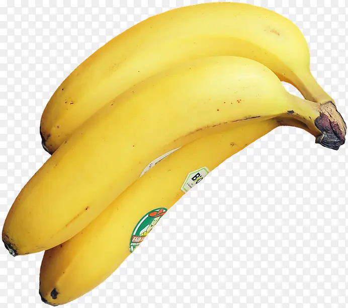 香蕉家族 烹饪芭蕉 香蕉