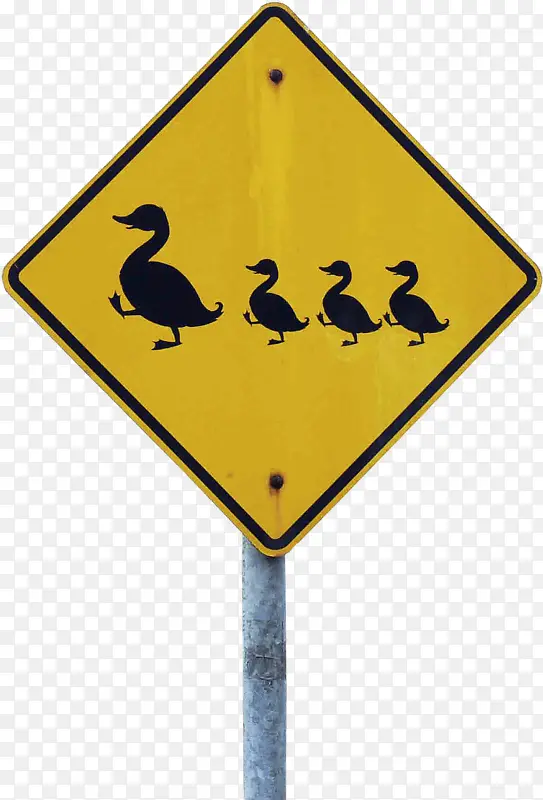 交通标志 标牌 鸟