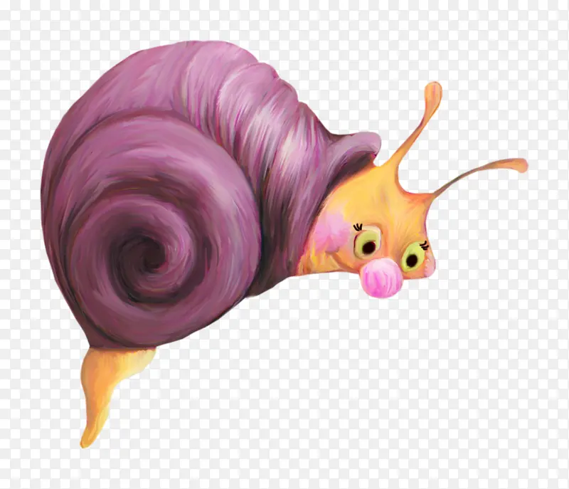 海蜗牛 蜗牛 蜗牛和蛞蝓