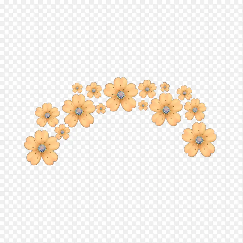 黄色 橙色 花朵