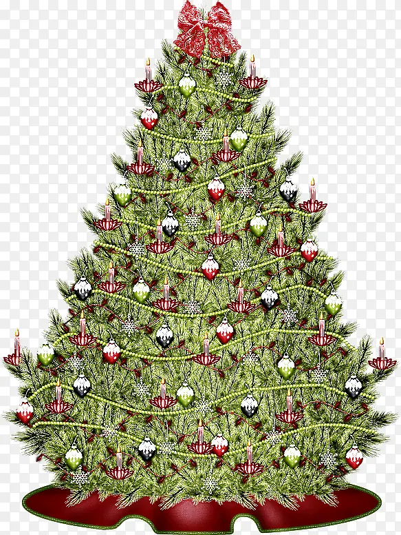 圣诞装饰 圣诞树 俄勒冈州松树