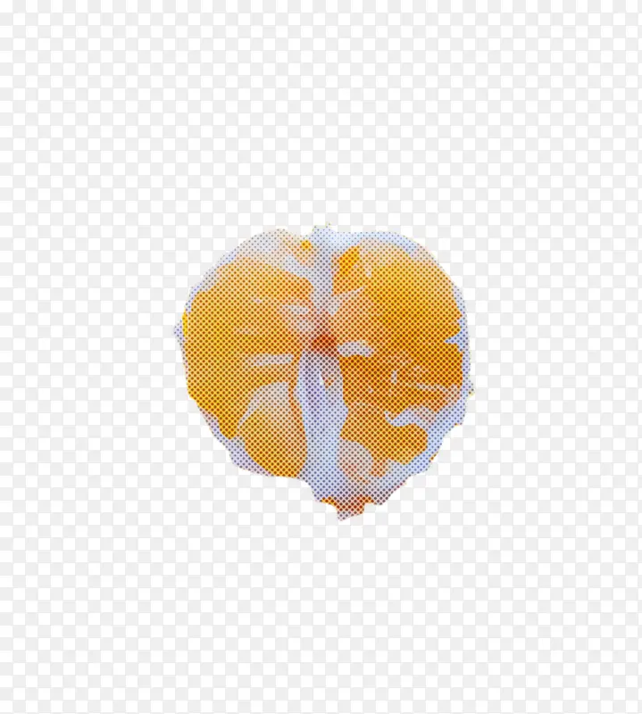 橙色 黄色 水果