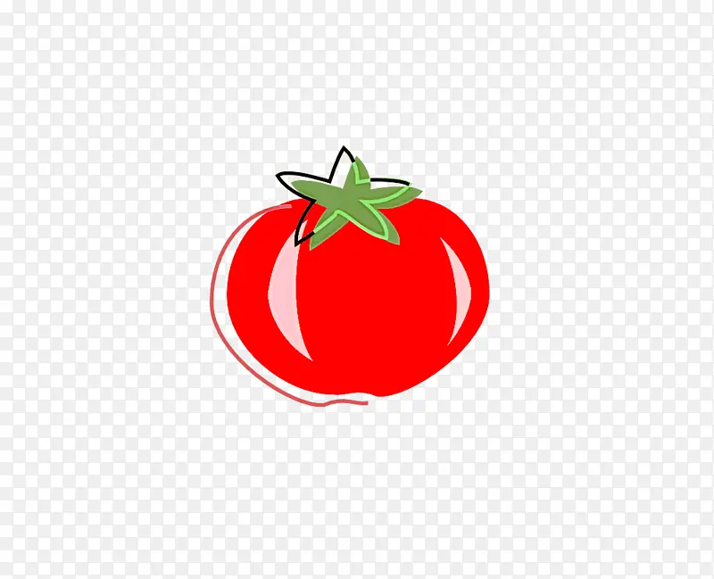 水果 番茄 茄属