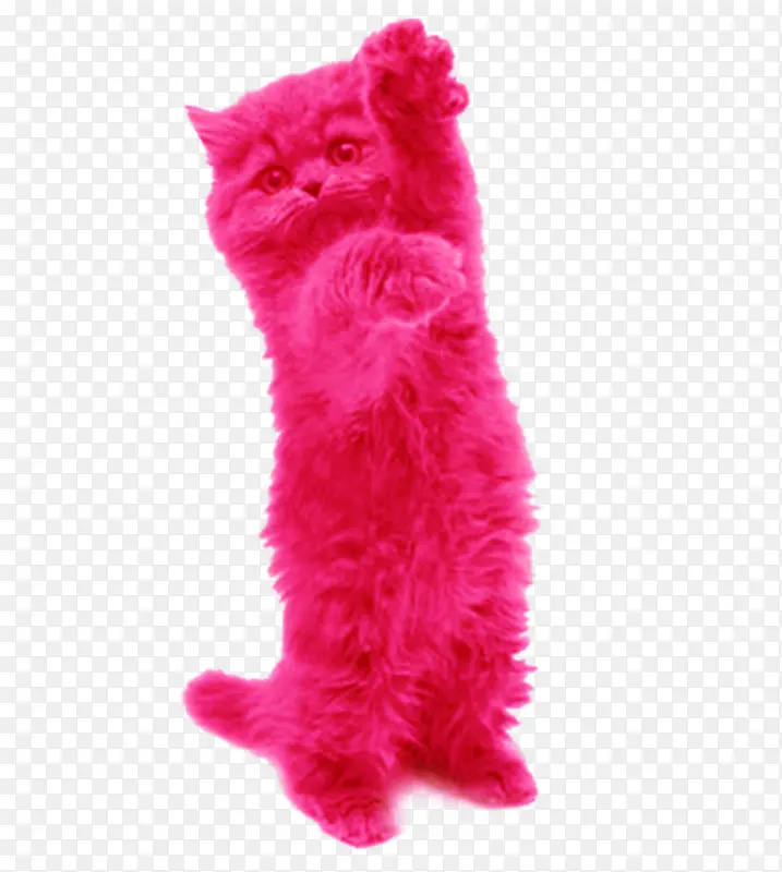 采购产品猫 粉红色 猫玩具
