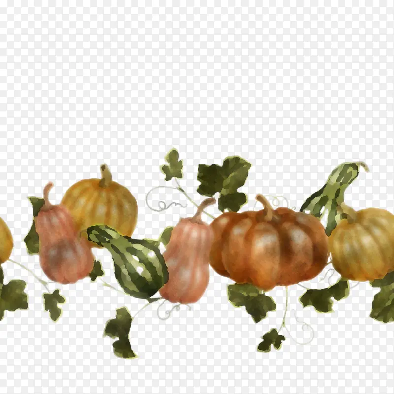 天然食品 蔬菜 食品