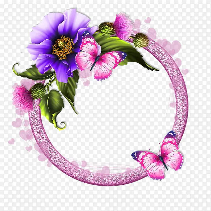 紫罗兰 粉色 花朵