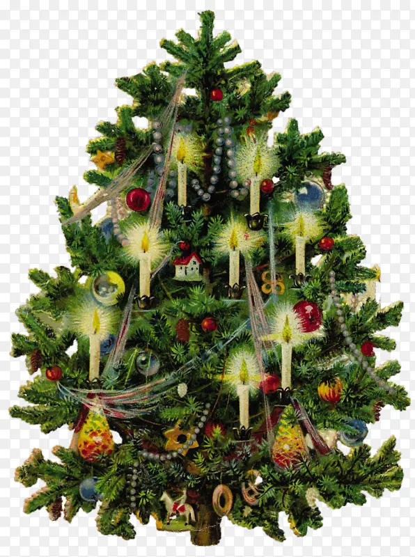 圣诞树 圣诞装饰 俄勒冈松树