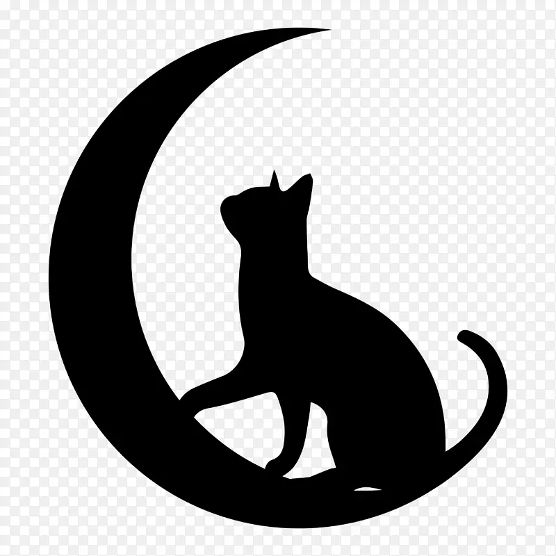 猫 黑色 小型到中型猫