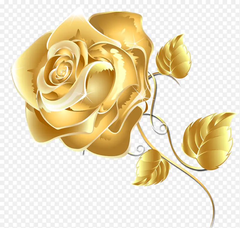 黄色 花园玫瑰 玫瑰