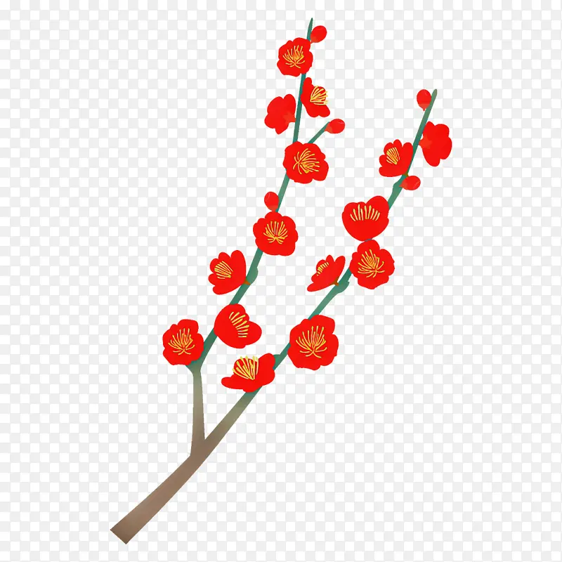 花 红色 植物