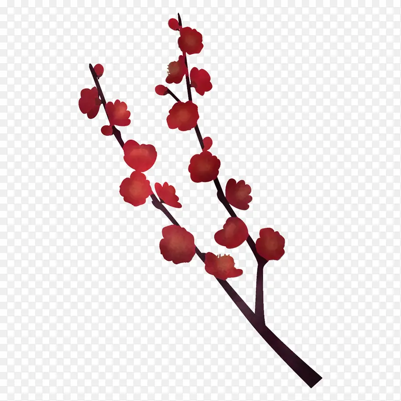 红色 花 树枝
