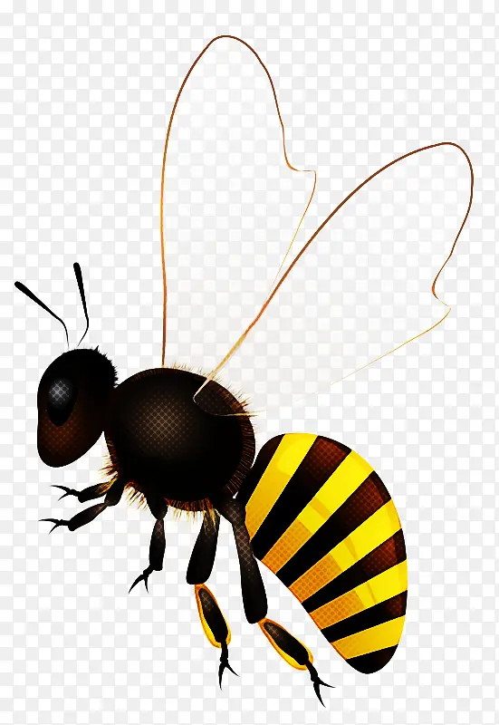 昆虫 蜜蜂 害虫