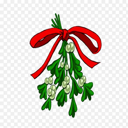 圣诞装饰 植物 圣诞节