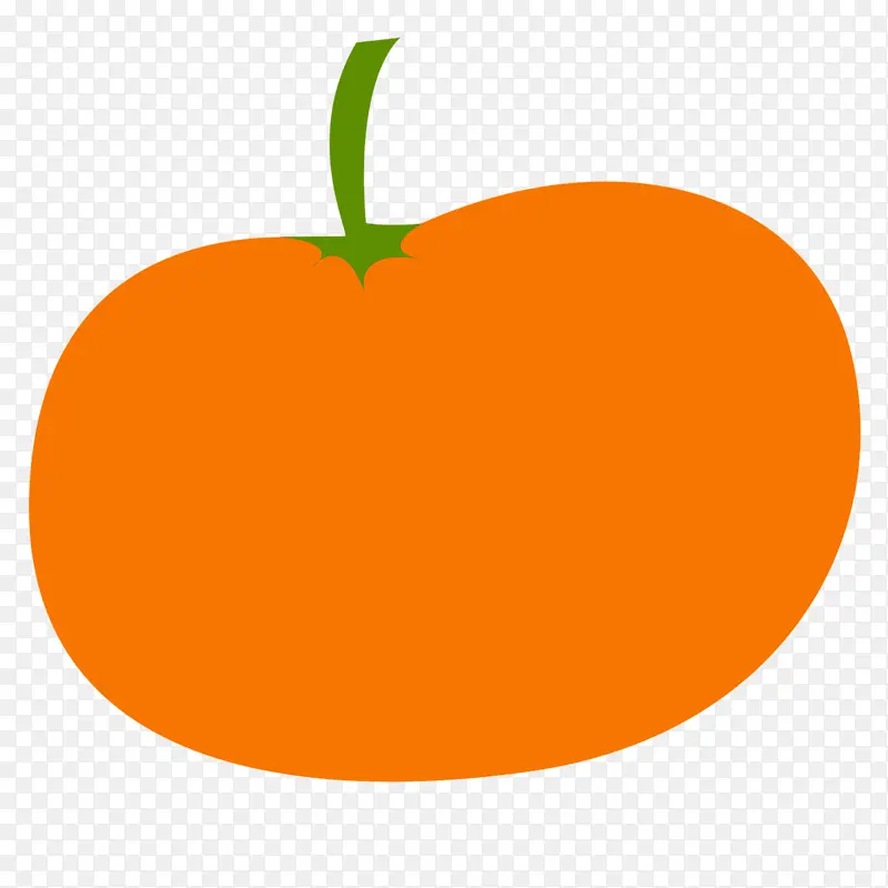 橙子 水果 叶子