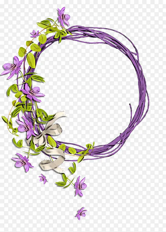 紫罗兰 紫色 花