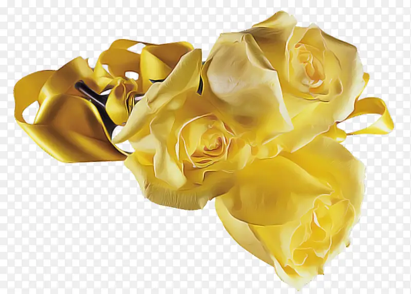 黄色 玫瑰 花朵