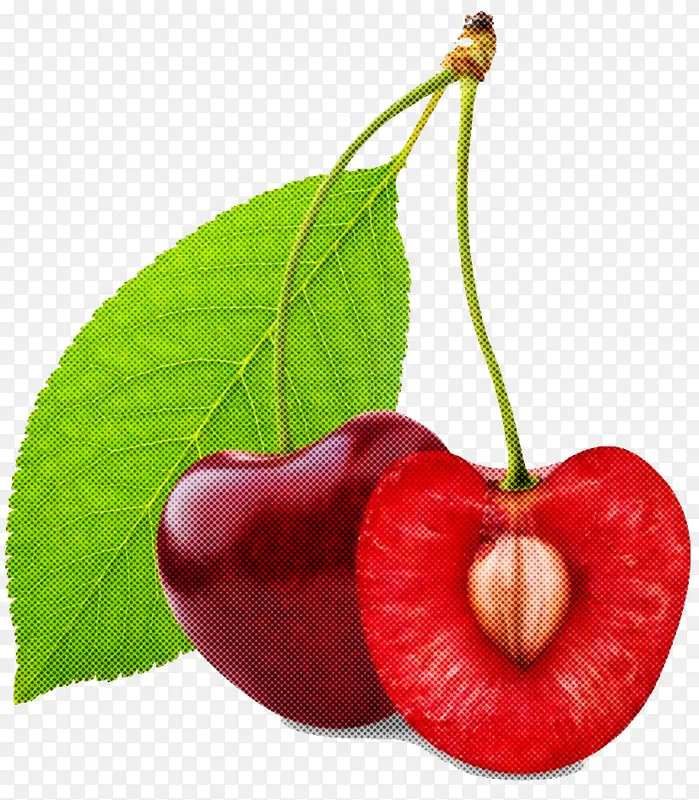 天然食品 樱桃 植物