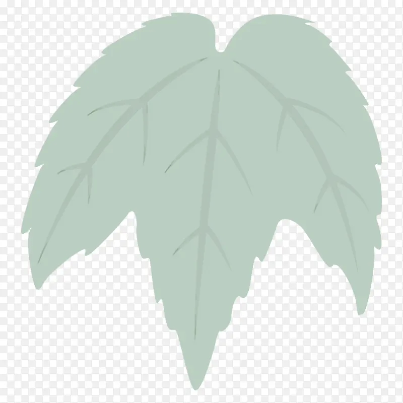 叶子 绿色 植物