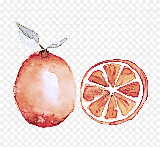 柑橘 吊坠 葡萄柚
