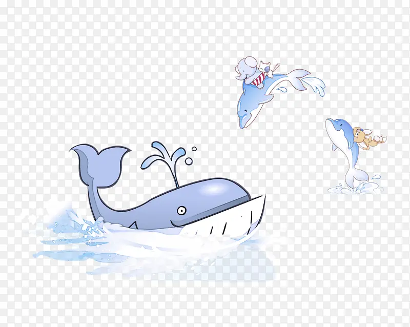 鲸目动物鲸鱼海豚蓝鲸抹香鲸