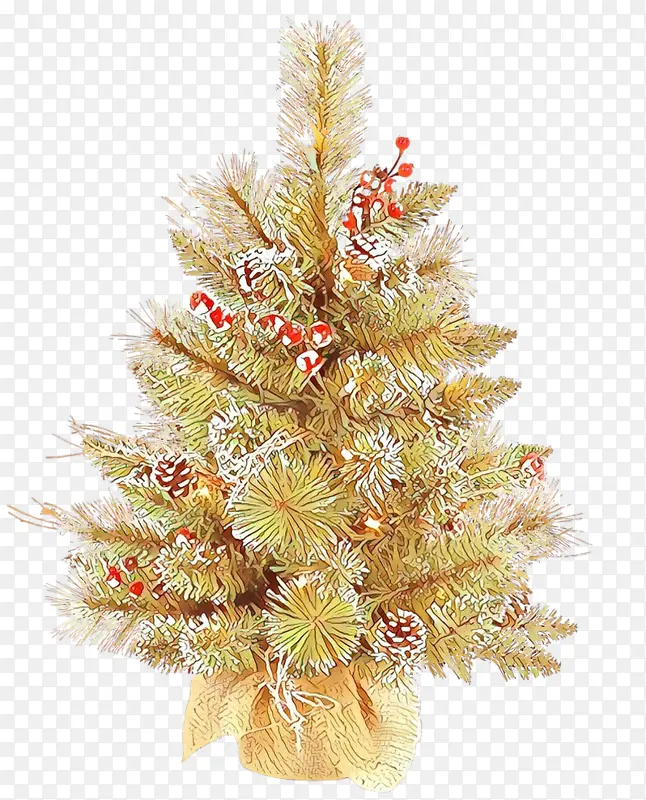 圣诞树 科罗拉多云杉 圣诞装饰