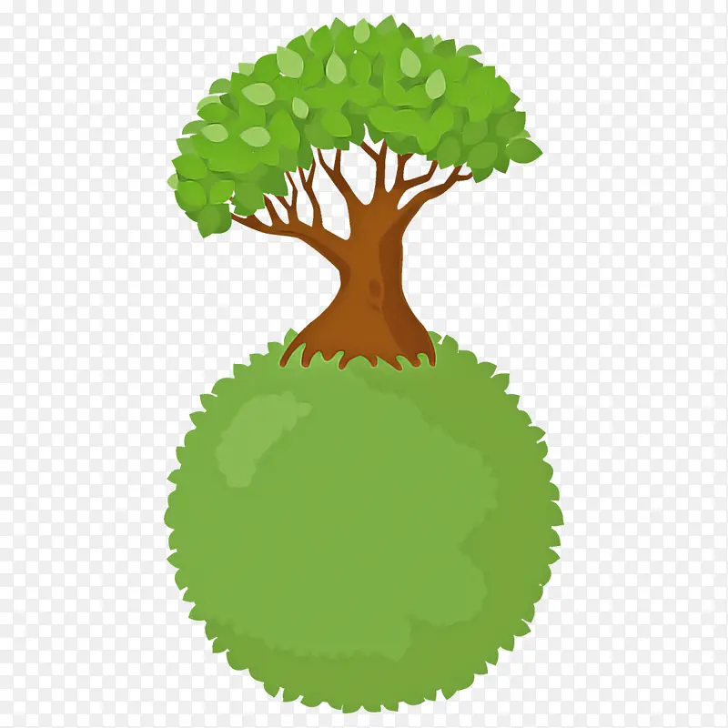 绿色 叶子 植物