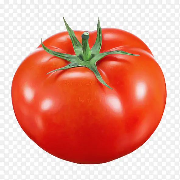 天然食品 番茄 灌木番茄