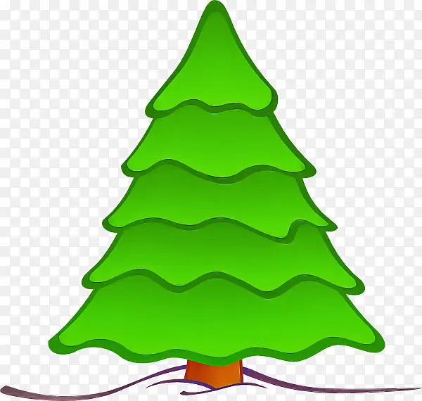 圣诞树 绿色 俄勒冈州松树