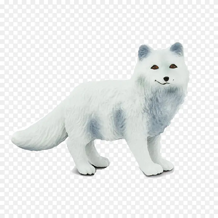 白色 动物形象 北极狐