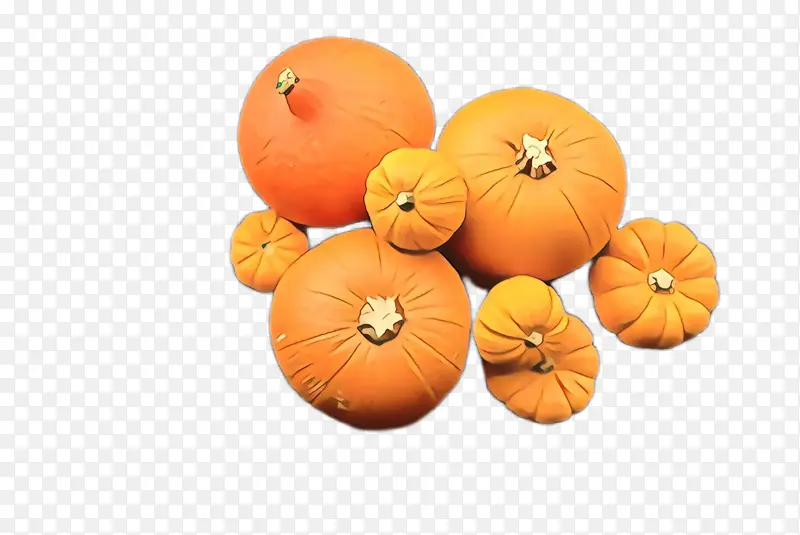南瓜 橙子 卡拉巴扎