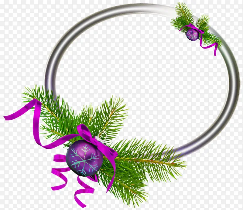 紫罗兰 植物 圣诞装饰