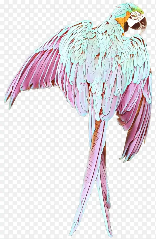 鸟 粉色 翅膀