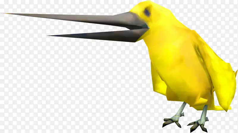 鸟 喙 黄色
