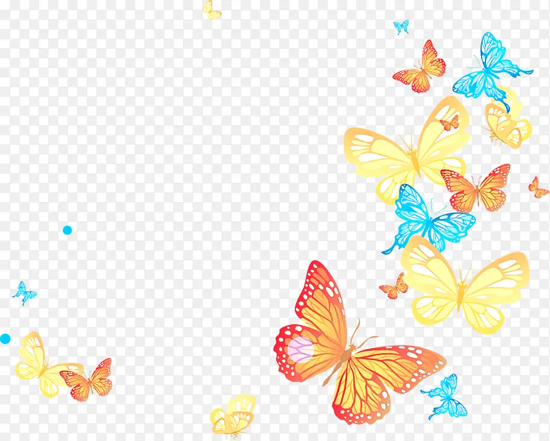 蝴蝶 黄色 飞蛾和蝴蝶