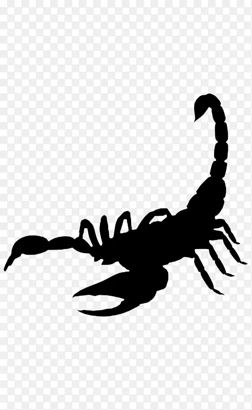 蝎子 美国龙虾 螃蟹