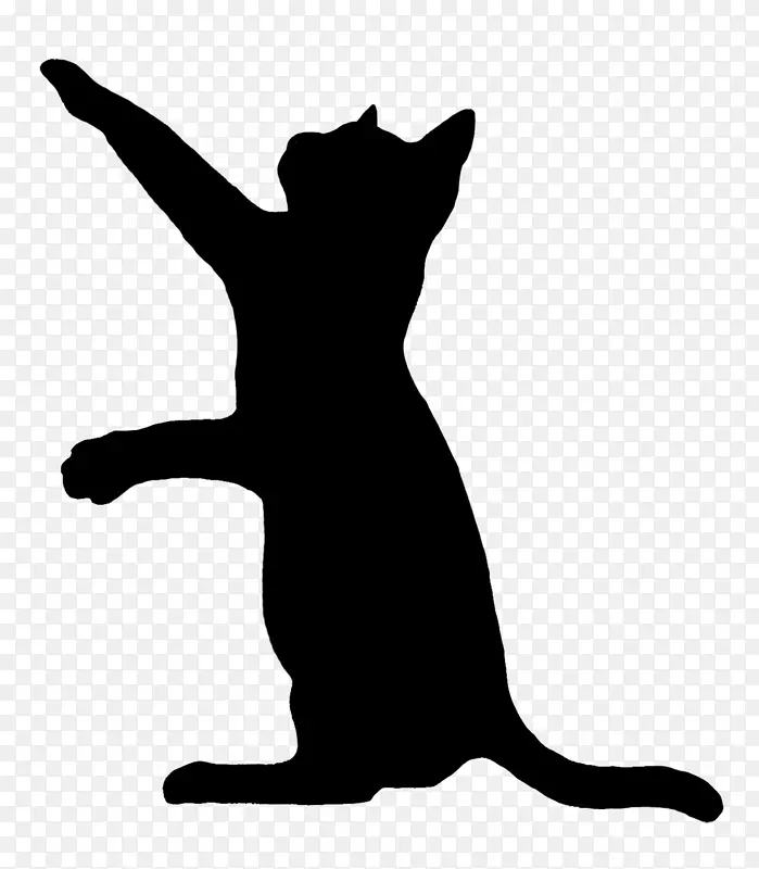 猫 小型到中型猫 轮廓