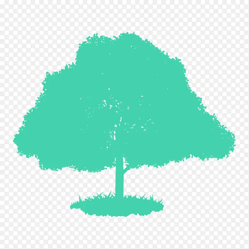 绿色 树木 木本植物