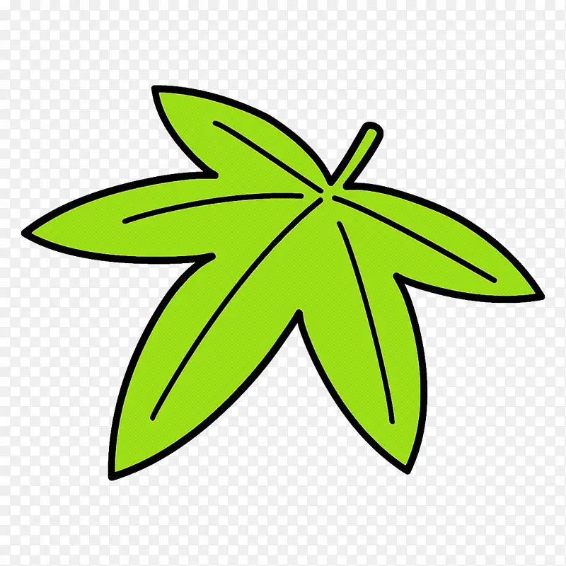 绿色 叶子 植物