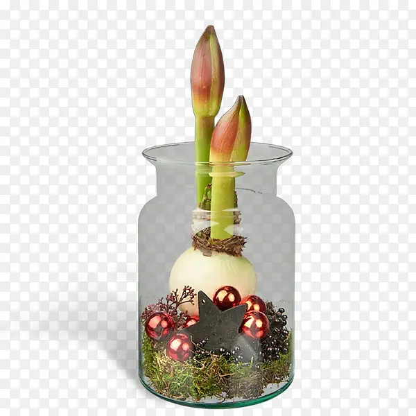 凤尾兰 植物 蜡烛