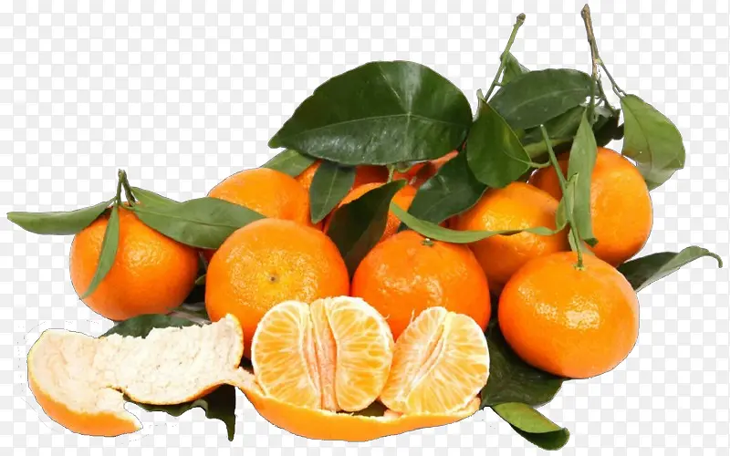 柑橘 水果 克莱门汀
