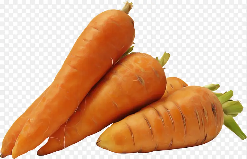 胡萝卜 食品 根类蔬菜